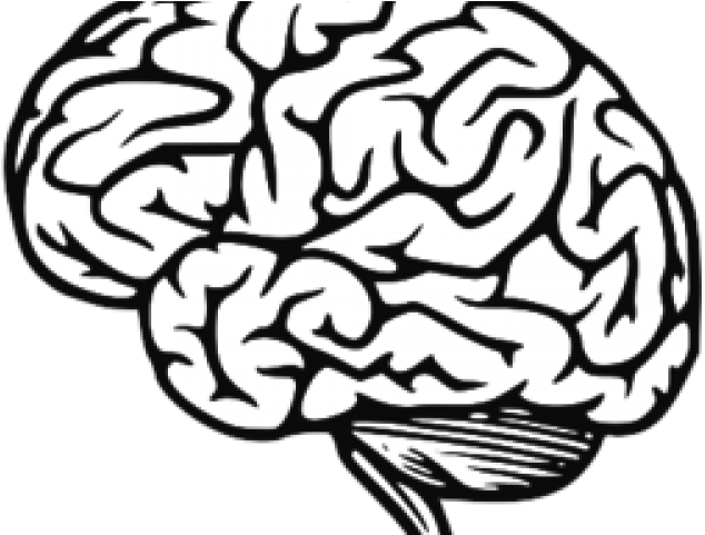 Brain Clipart Jpeg - Black And White Cartoon Brain (640x480)