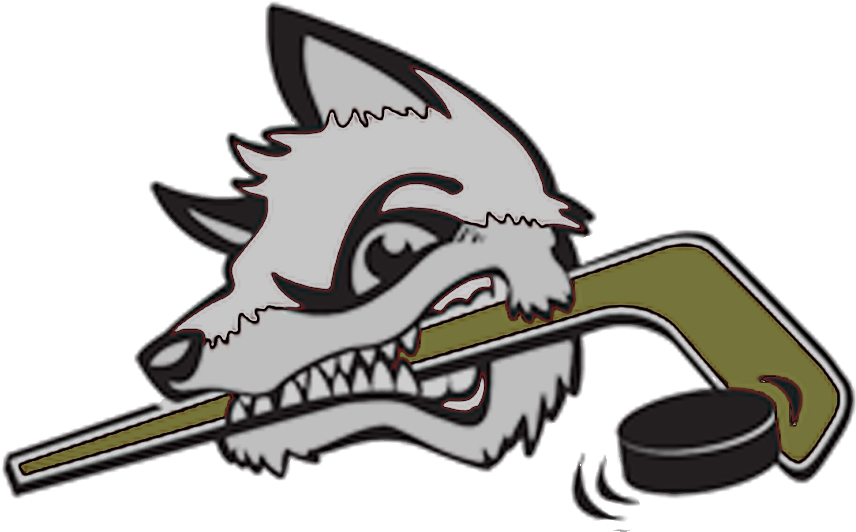 B/m Generals - Cartoon (904x544)