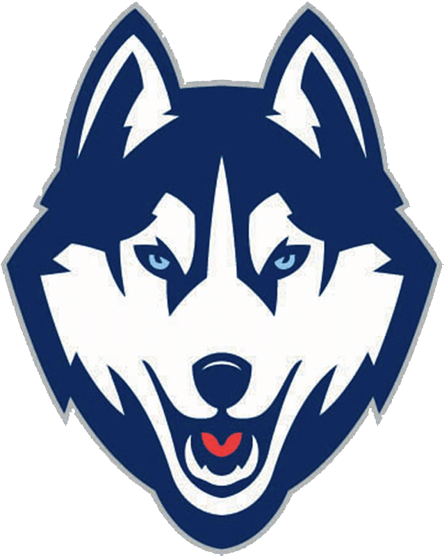 800 X 800 2 - Uconn Husky (800x800)