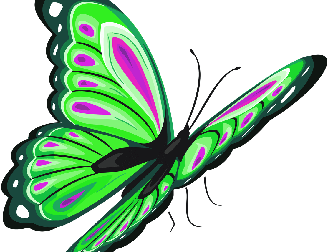 Free Green Butterfly Clipart, Download Free Clip Art, - Full Hd Butterfly Png (1368x855)