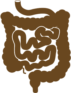 Intestine Brown Small - Illustration (400x400)