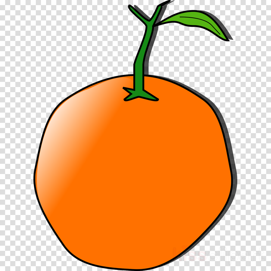 Orange Clip Art Png - Logo Camera Icon Png Transparent (900x900)