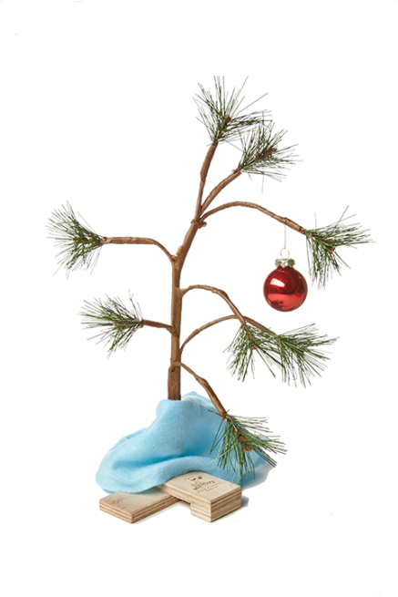 Charlie Brown Christmas Tree Png - Transparent Charlie Brown Christmas Tree Png (654x654)