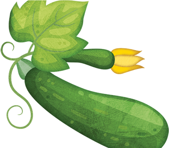 640 X 480 2 - Zucchini Clipart Png (640x480)