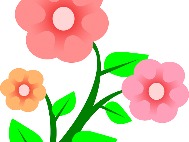 Carnation Clipart Spanish Flower - Pink Flower Clip Art (640x480)