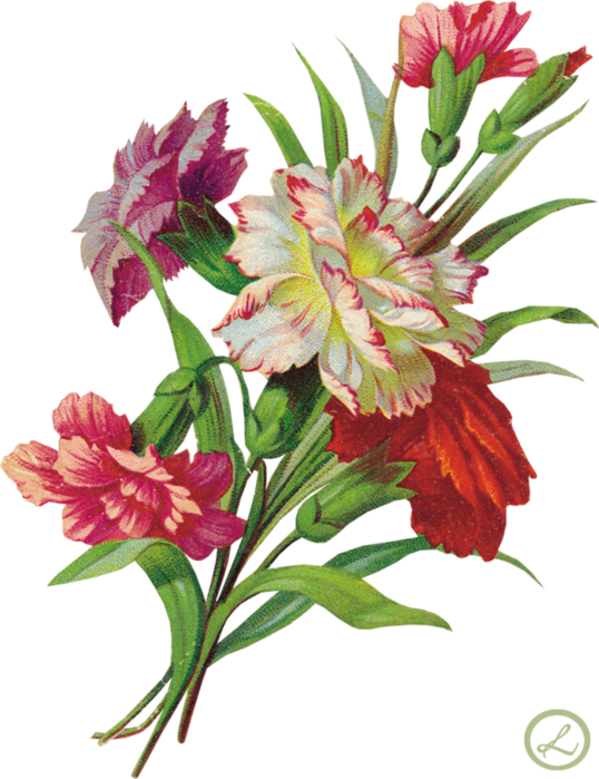 Painting & Drawing - Вышивка Цветов Png (538x699)