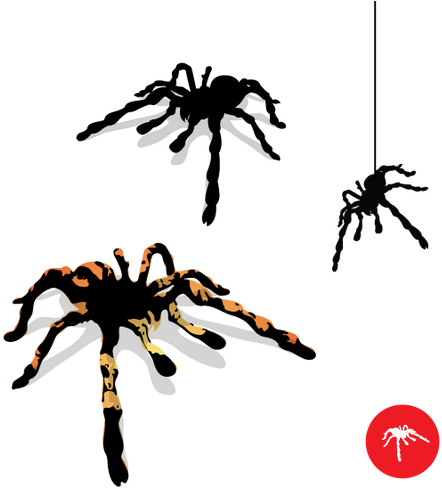 Halloween Dragonartz Designs - Spider Vector (495x495)