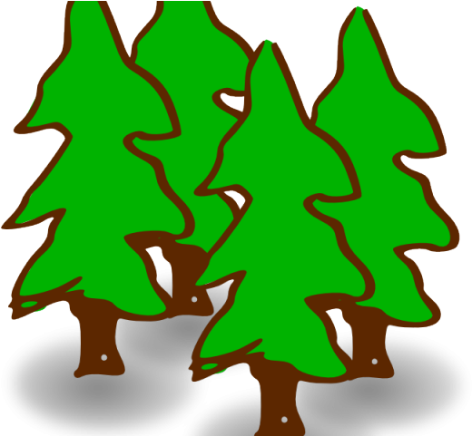 Rainforest Clipart Animal Science - Forest Clip Art (640x480)