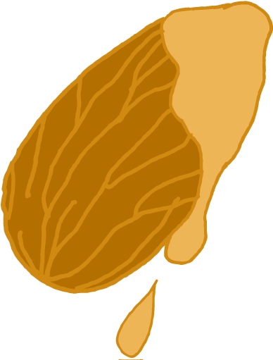 Almond Caramel Sea Salt - Almond Caramel Sea Salt (500x511)