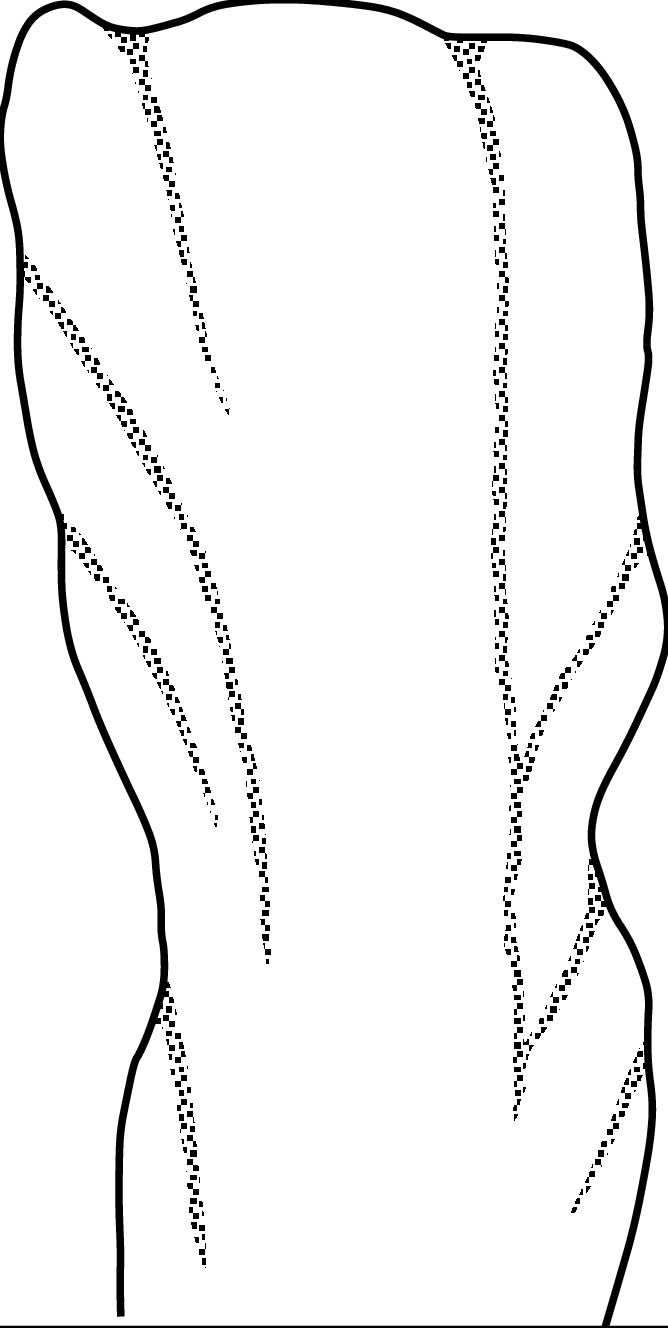 Vertical Cross Section Of The Bayou Choctaw Salt Diapir - Line Art (668x1328)