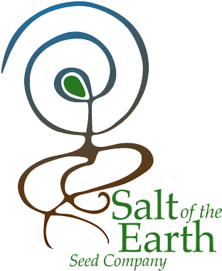 All Seed For Our Sister Company Is Produced Right At - Graphic Design (339x392)