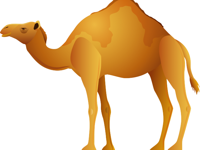 Camels Clipart Dromedary - Camel Clipart Png (640x480)