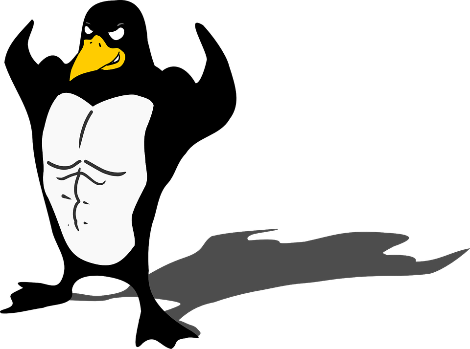 Penguin Bird Wildlife - Strong Penguin Cartoon (960x714)