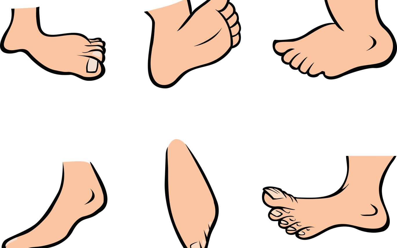 Animated Feet Clipart - Feet Cartoon (1368x855)