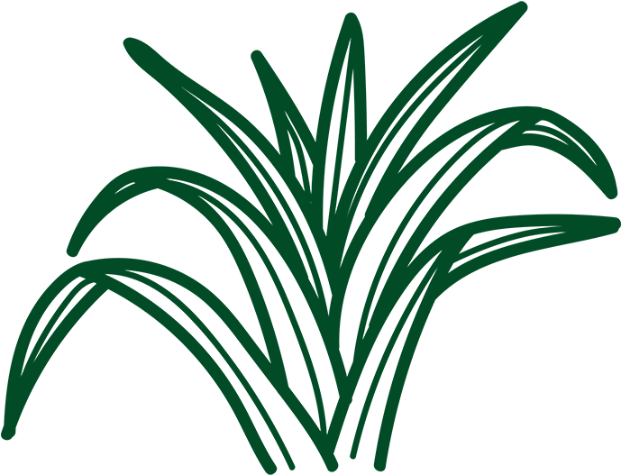 Belonging - Belonging (800x800)