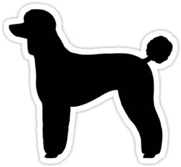Black Standard Poodle Silhouette Waterproof Die-cut - Poodle Silhouette Standard Poodle Clipart (375x360)