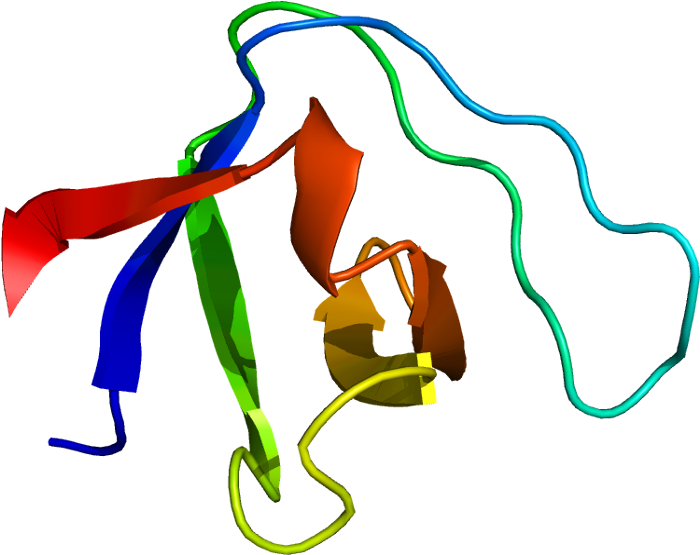 Sptan1 - Wikipedia - Sptan1 - Wikipedia (749x604)