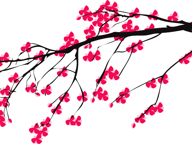Cherry Blossom Clipart Corner - Cherry Blossom Tree Draw Vector (640x480)