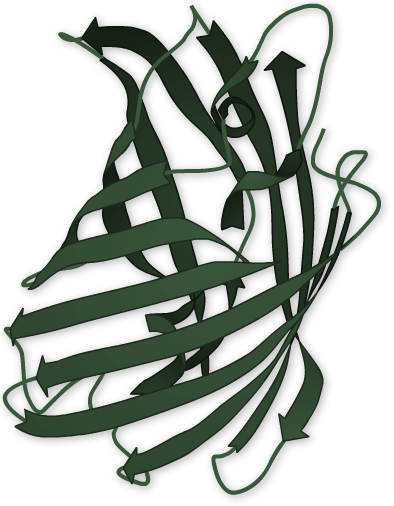 Education In Microscopy And Digital Imaging - Education In Microscopy And Digital Imaging (394x506)