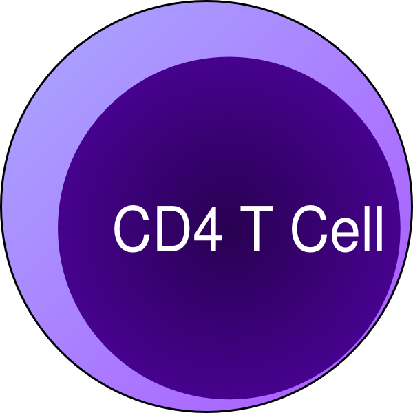 Cd4 T Cell Clip Art - Yahoo Circle Logo (600x600)