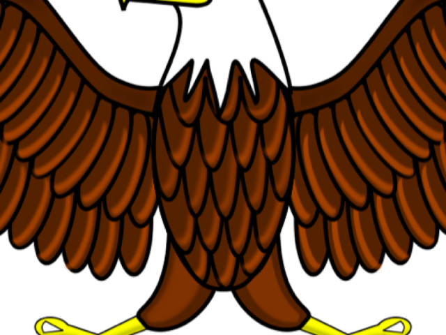 White Tailed Eagle Clipart Shaheen - Bald Eagle Clipart Png (640x480)
