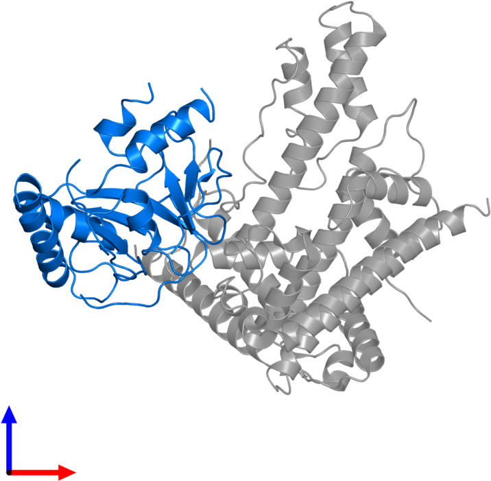 <div Class='caption-body'>pdb Entry 5kdm Contains 1 - Graphic Design (800x800)