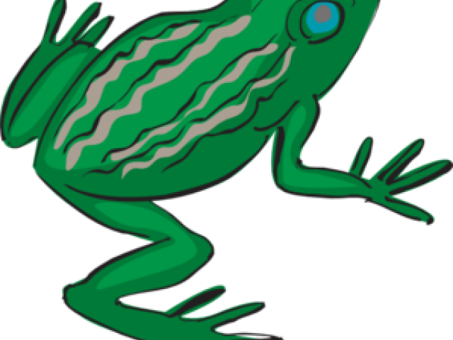 Legz Clipart Frog Leg - Frog Stencil (640x480)