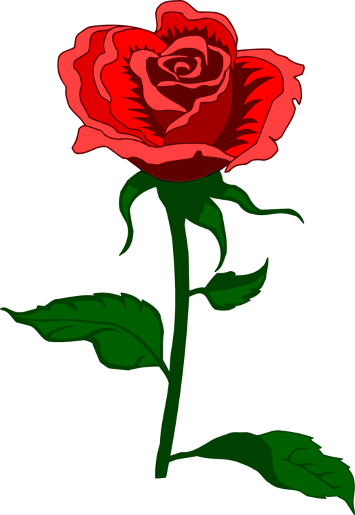 Human Eye Light Camera - Mother's Day Rose (517x750)
