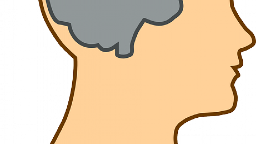 Implicit Bias Training For Police - Thalamus And Frontal Lobe (980x551)