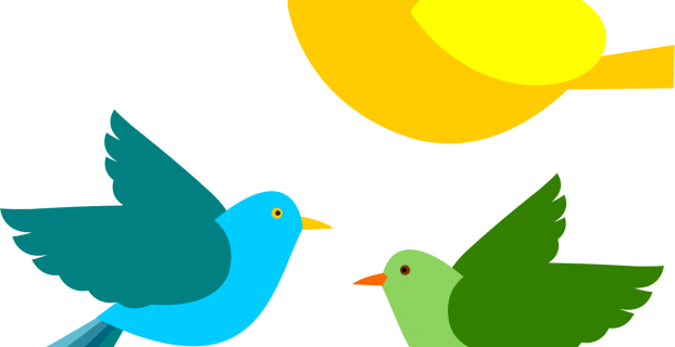 Birds Sounds Bird Sound Free App For Android - Flying Bird Clipart Png (621x320)