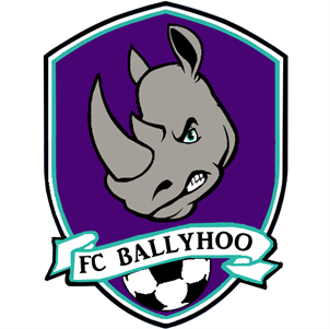 Our Website Has Moved - Fc Ballyhoo (500x300)