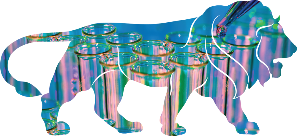 Wake Up Call For Gm Science In India - Idea Of Development In India (1000x457)