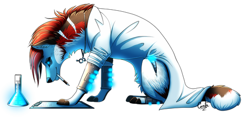 Cantaloupefish 20 0 Canuka By Cantaloupefish - Illustration (500x240)