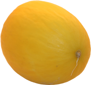 Big Yellow Fruits (450x300)