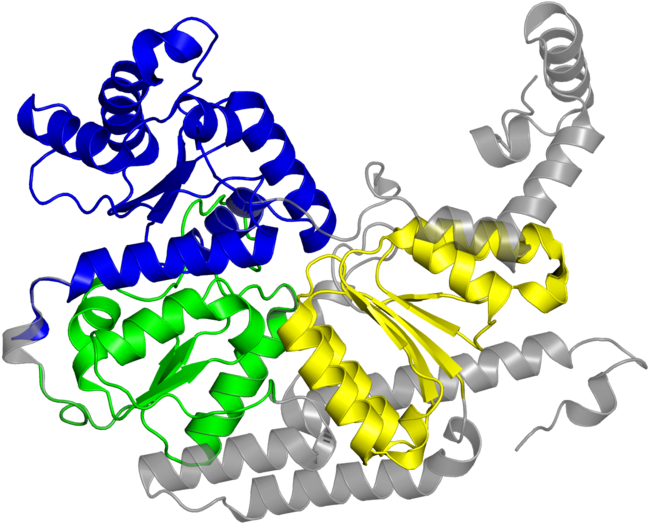 <div Class='caption-body'>7 Copies Of Cath Domain < - Illustration (800x800)
