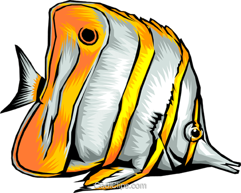 Tropical Fish Royalty Free Vector Clip Art Illustration - Fish Cartoon Realistic (480x385)