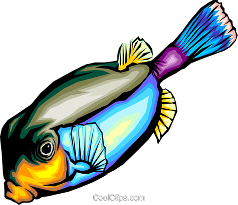 Tropical Fish Royalty Free Vector Clip Art Illustration - Tropical Fish Royalty Free Vector Clip Art Illustration (480x413)