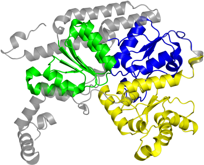 <div Class='caption-body'>7 Copies Of Cath Domain - Illustration (800x800)