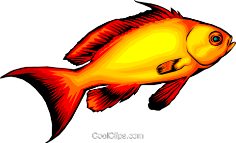 Tropical Fish Royalty Free Vector Clip Art Illustration - Fish Gif Animated (480x290)