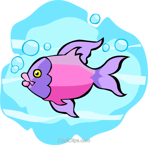 Tropical Fish Royalty Free Vector Clip Art Illustration - Tropical Fish Royalty Free Vector Clip Art Illustration (480x470)