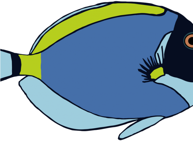 Marine Fish Clipart Tropical Fish - Surgeonfish Clipart (640x480)
