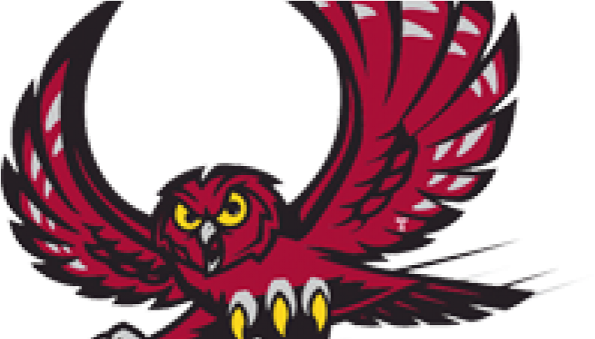 Temple Owls Logo (860x485)