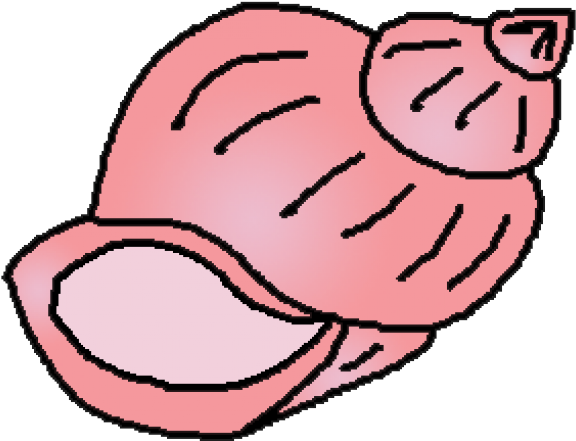 Shell Clipart Cartoon - Conch Shell Cartoon (640x480)