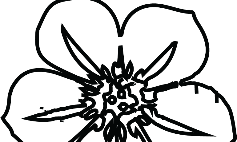 Rape Crisis Flower Black - Rape Crisis Flower Black (1455x461)