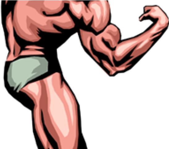 Chest Clipart Muscular Body - Muscle Man Clip Art (640x480)