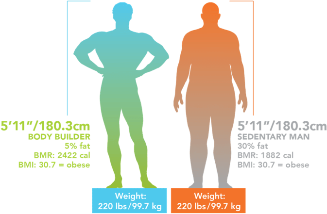Free Muscular System Cliparts Download Free Clip Art,muscular - Truhealth Mannatech (696x516)
