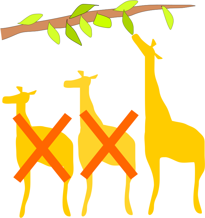 Image Result For Natural Selection - Survival Of The Fittest Clipart (744x800)