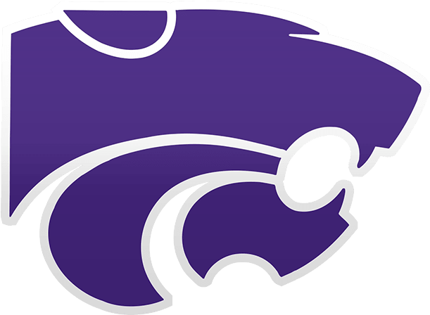 Texas Tech Red Raiders Vs - Paloma Valley High School Logo (800x800)