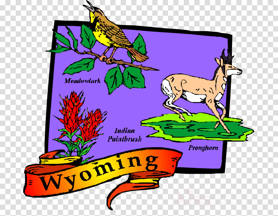 Wyoming Map Postcards Clipart Wyoming Post Cards Clip - Wyoming Symbols (900x700)