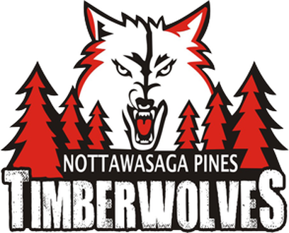Picture - Nottawasaga Pines Secondary School Logo (408x330)
